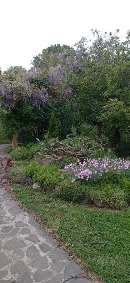 Ferienwohnung Kaman Nyaralo Badacsonytomaj Exterior foto